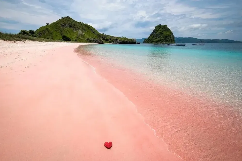 Pink Beach Experience - Luxury Phinisi Komodo Charter 2026